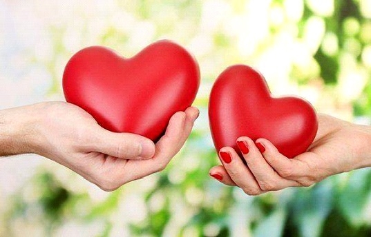 Սեր, սեր, սեր...Սերը հրաշալի ծաղիկ է, բայց պահանջվում է խիզախություն` անդունդի եզրին մոտենալու ու նրան պոկելու