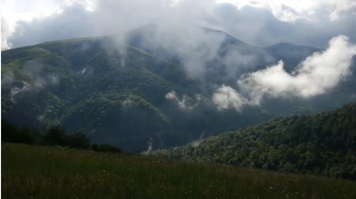 Սիրված երգչուհի Աիդա Սարգսյանը որոշ դադարից հետո նոր երգ է ներկայացրել