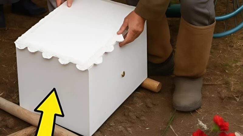 ბიჭის დაკრძალვის დღეს, ბაბუამ საშინელი ეჭვი გაუჩნდა და გაბედა ხუფის გახსნა – რაც დაინახა, თითქმის გააშეშა.