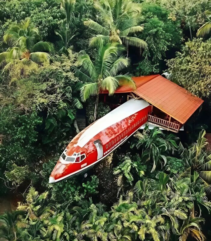 კაცი გადაიტანა ძველი Boeing 727 ჯუნგლებში და გადააქცია სასტუმროდ. აი, როგორ გამოიყურება სასტუმრო შიგნიდან.