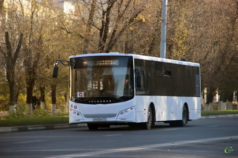 მე ვდგავარ ავტობუსის გაჩერებაზე, უმწეო სავარძელში, ყველა უყურადღებოდ იყო, აი, რა მოხდა შემდეგ